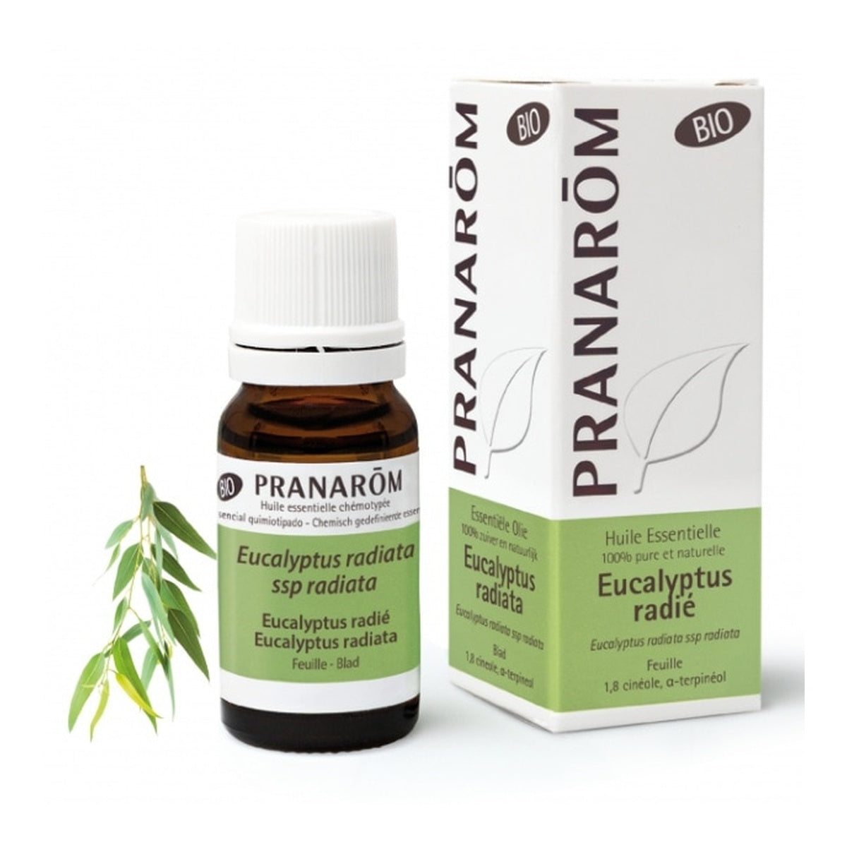 [PRANARŌM] Eucalyptus Radiata Essential Oil 10ml